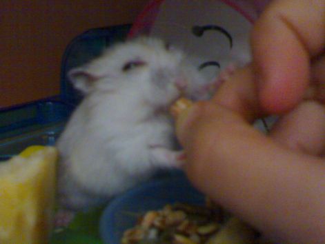 20100416960.jpg